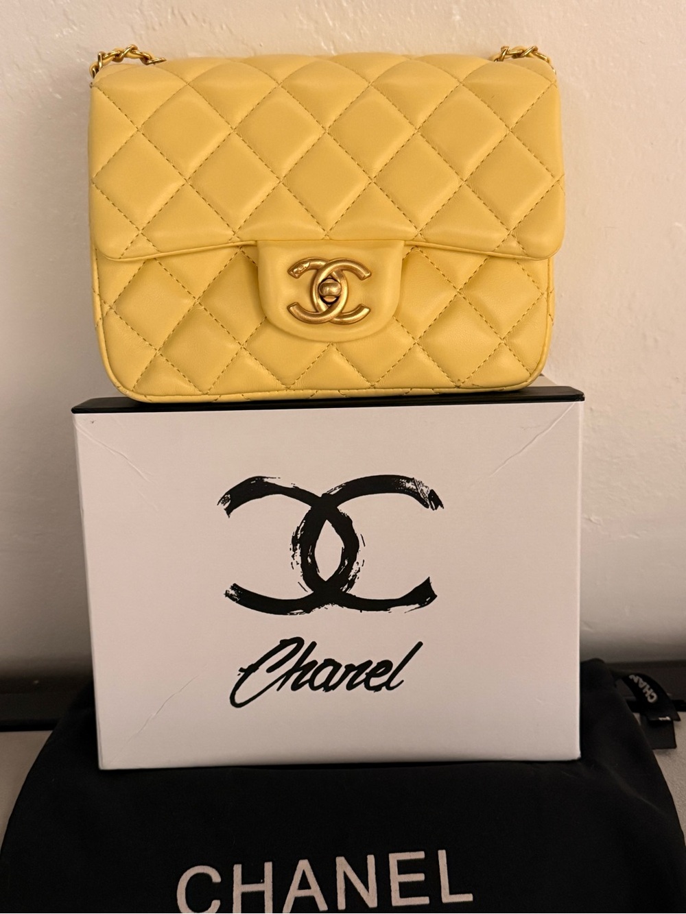 MINI LUXURY BAG - Picture 2 of 16